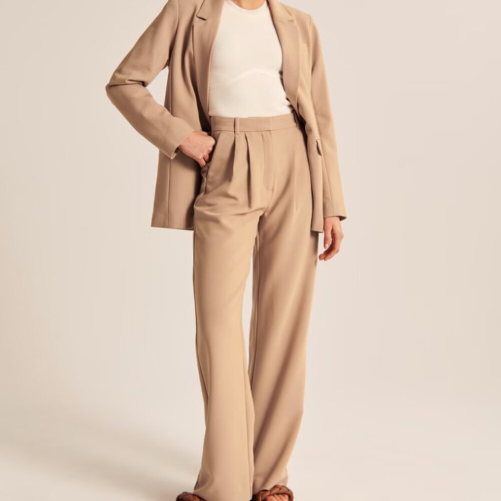 Abercrombie and Fitch Sloane Tailored Pant Wide Leg